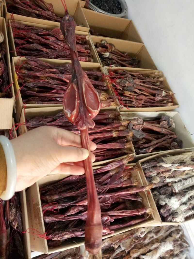 牛鞭干货散装无硫***品质好2个起包邮量大从优