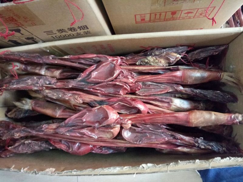 牛鞭干货散装无硫***品质好2个起包邮量大从优