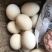 土鹅蛋食用
