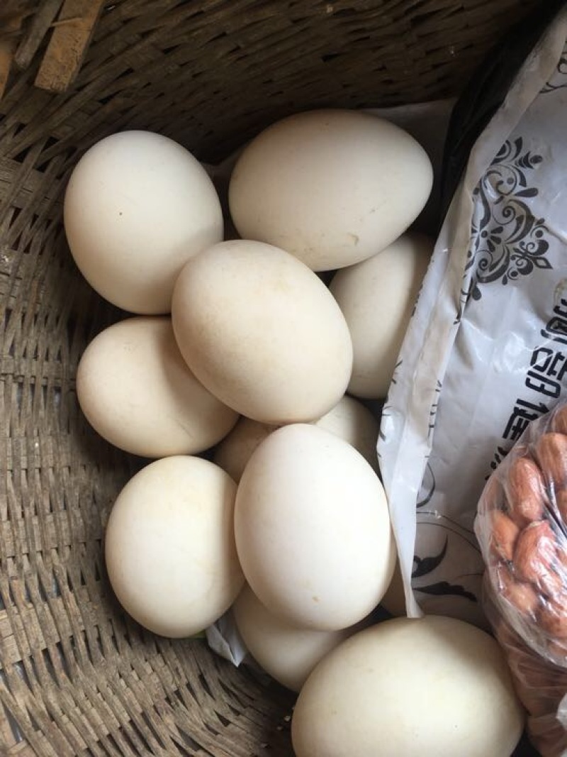 土鹅蛋食用
