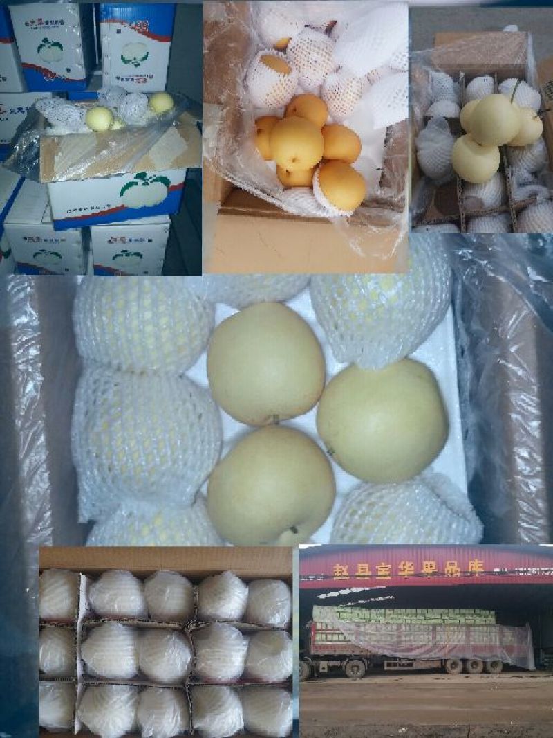 皇冠梨纸箱300~350g