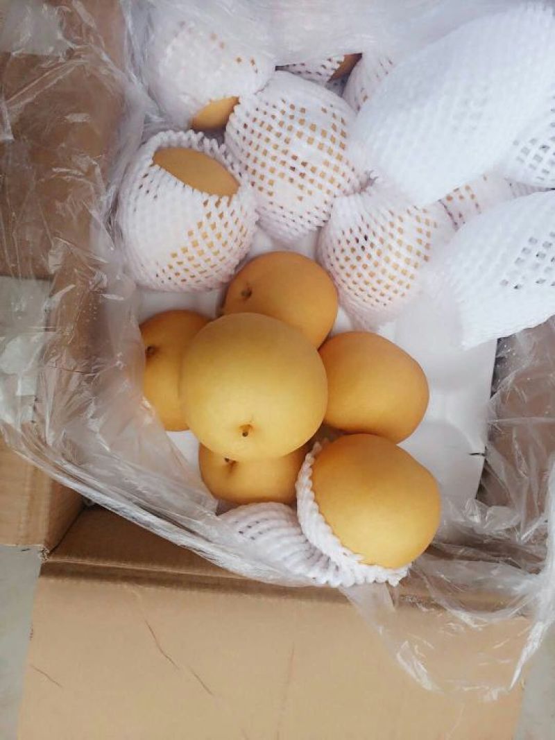 皇冠梨纸箱300~350g