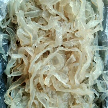 海蜇食用鲜活