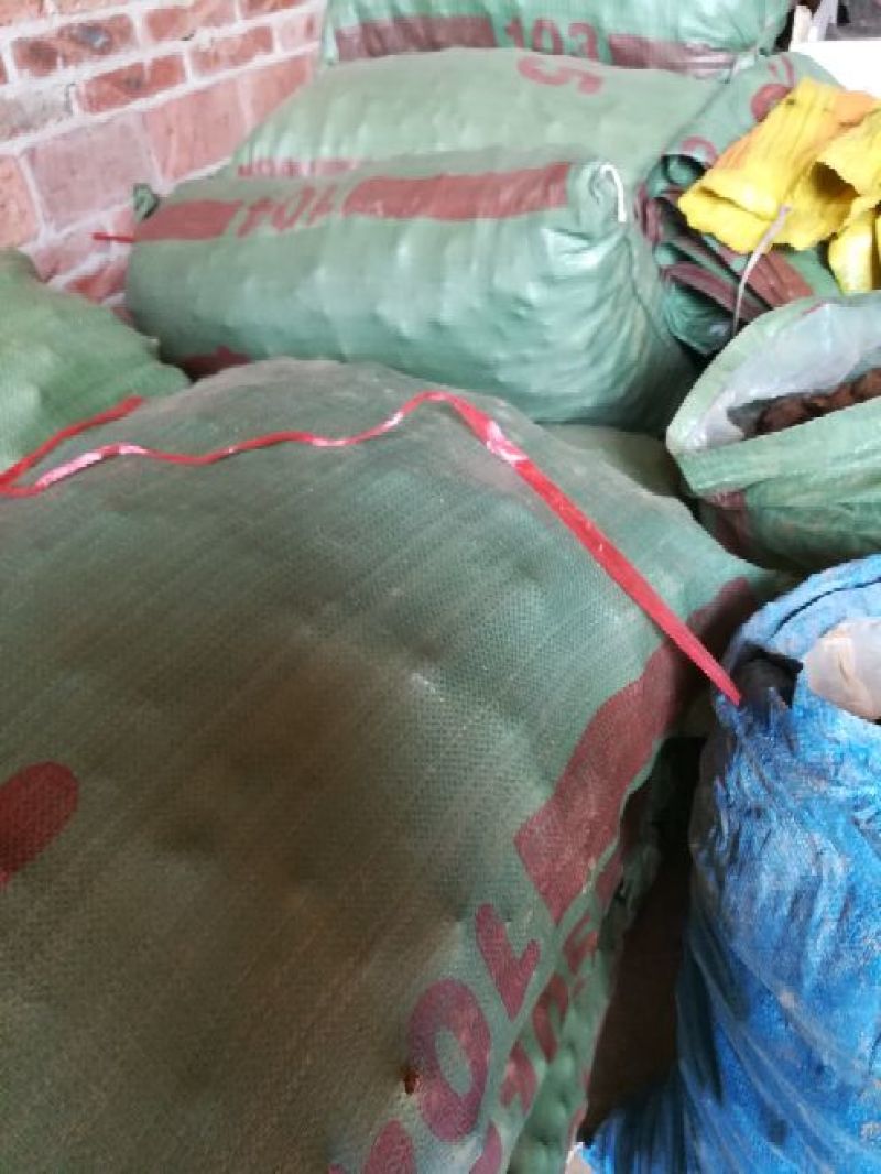 【实力供应】珍珠马蹄大号带泥荸荠量大从优海量货源