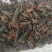 [推荐]精品潜江清水小龙虾纯青活虾，一手货源，运输死包赔
