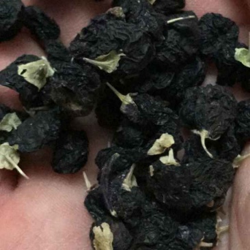 枸杞头茬干货