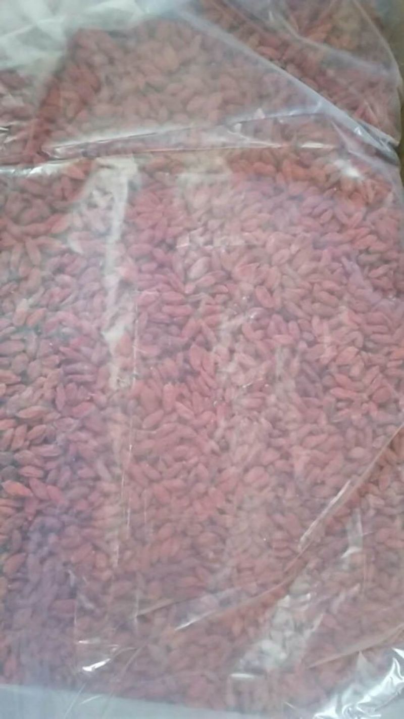 枸杞头茬干货