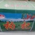 枸杞头茬干货