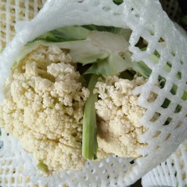 有机花/白面青梗松花菜2~3斤散花乳白