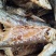餐条鱼干炸鱼干（5斤起邮）