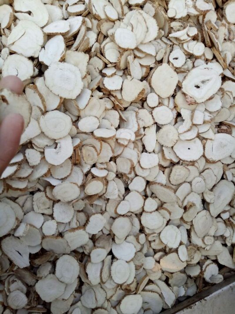 亳州白芷袋装白芷，大小白芷，香料白芷，川白芷