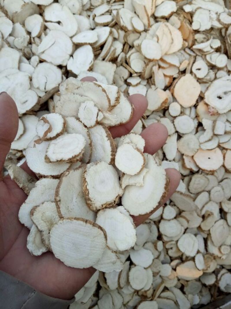 亳州白芷袋装白芷，大小白芷，香料白芷，川白芷