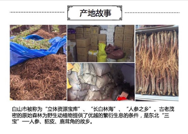 人参5根装白参，除新疆西藏地区，全国包邮