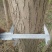 垂柳6~8cm4~6cm3.5~4米