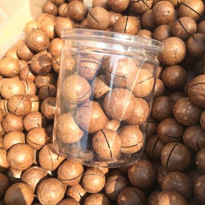 夏威夷果带壳