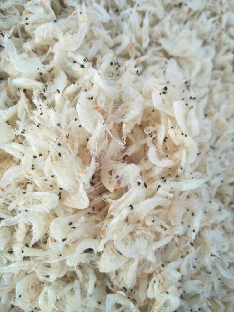 虾皮一级