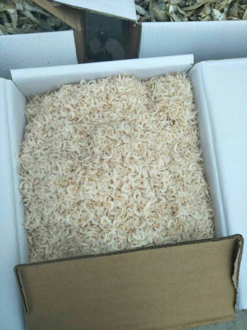 虾皮一级