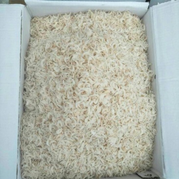 虾皮一级