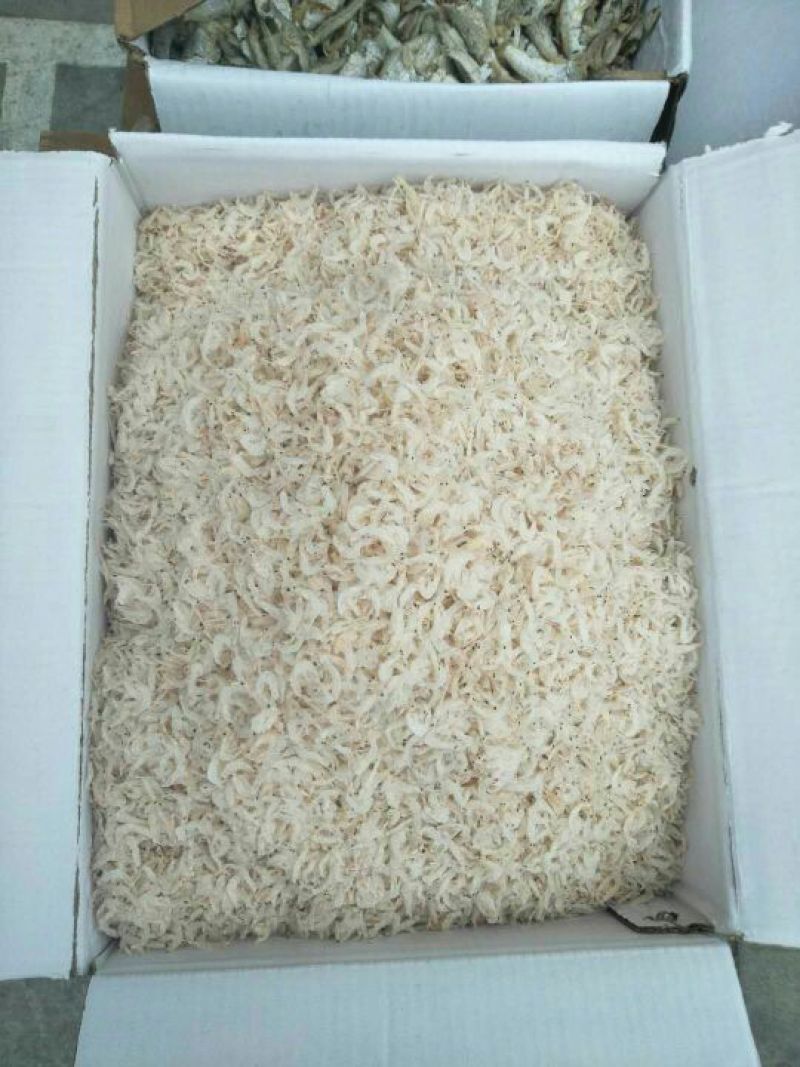 虾皮一级