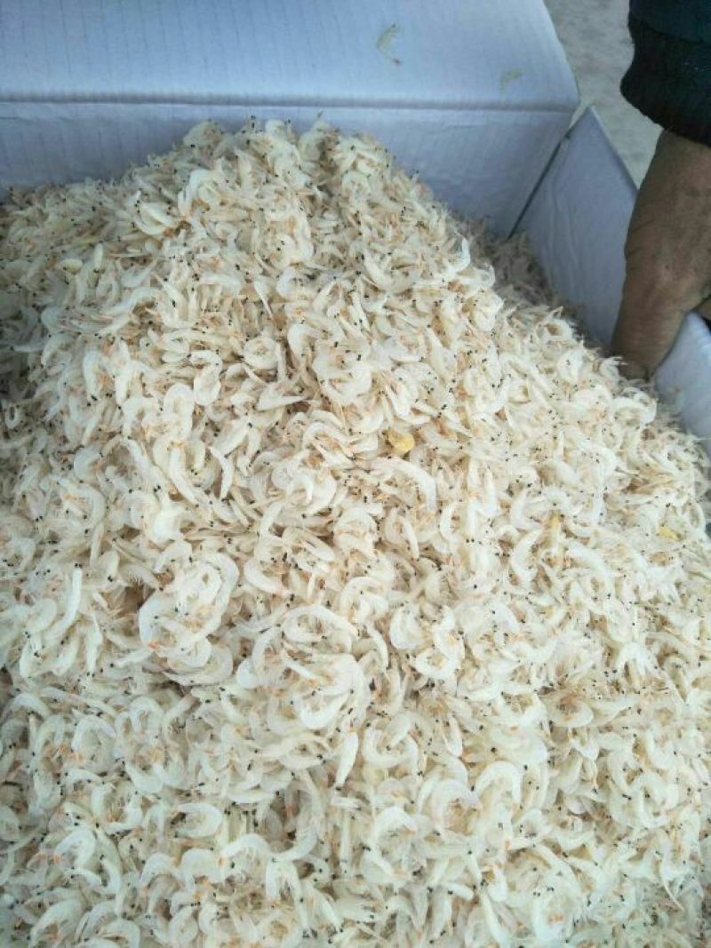 虾皮一级