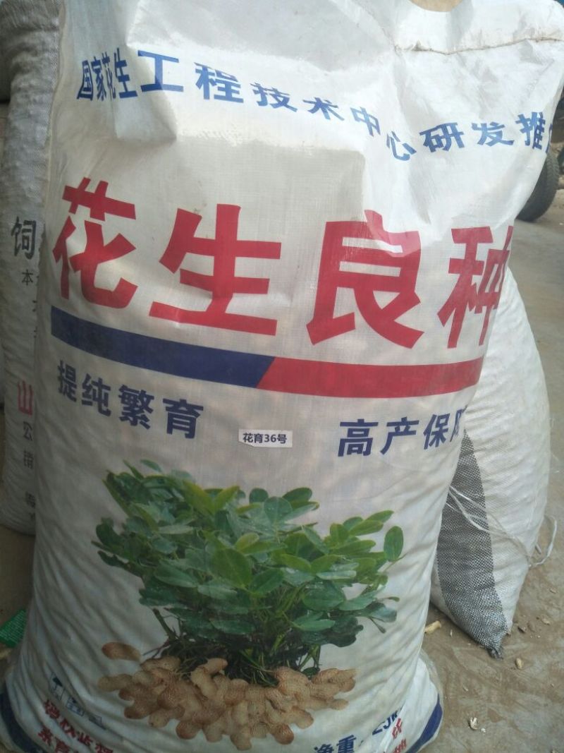 【推荐】海花花生干货地塻覆盖带壳能挑双仁果欢迎选购！