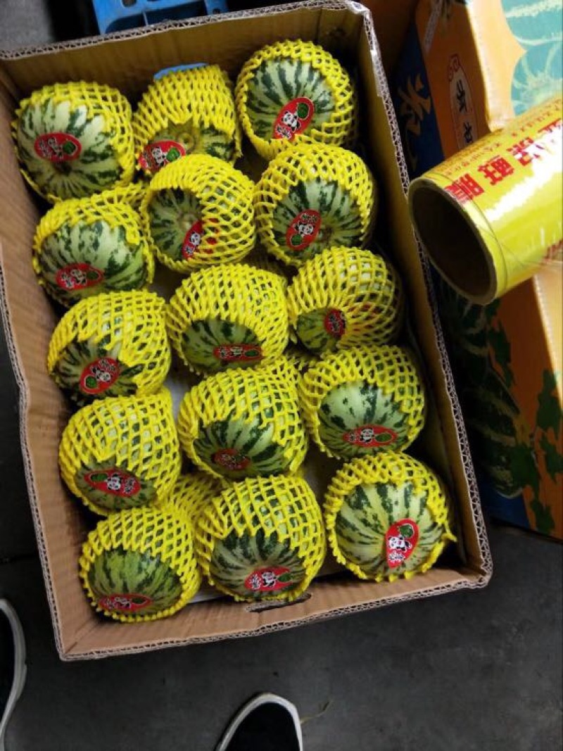 花蕾甜瓜对接档口品质优良香甜可口欢迎合作