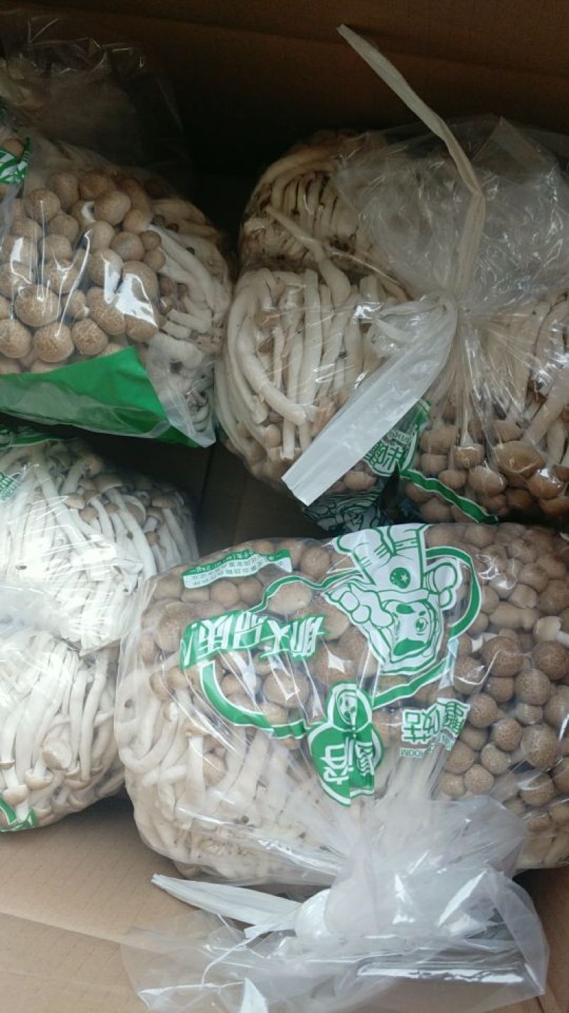 蟹味菇特级