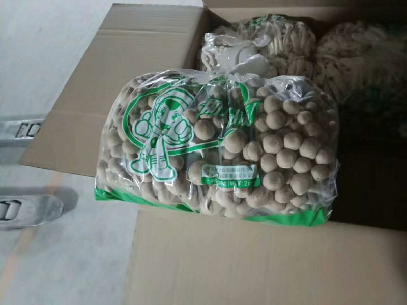 蟹味菇特级