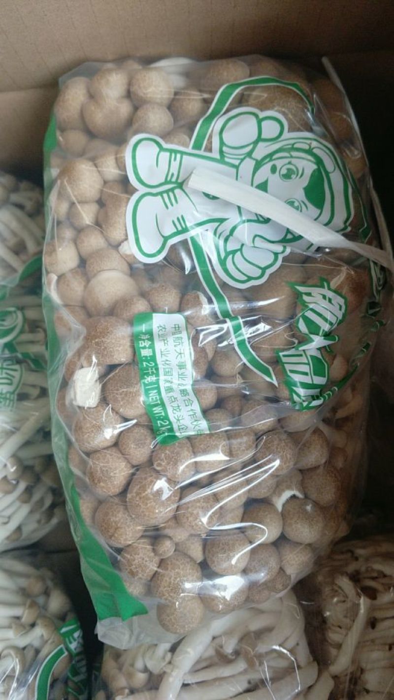 蟹味菇特级