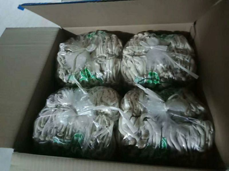 蟹味菇特级