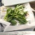 非洲冰草