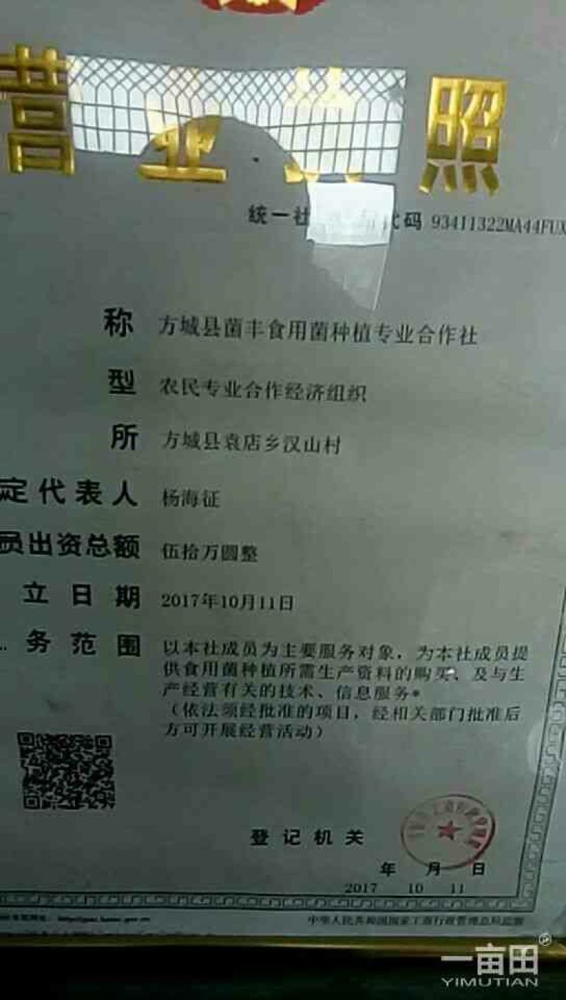 808香菇棒18*60公分