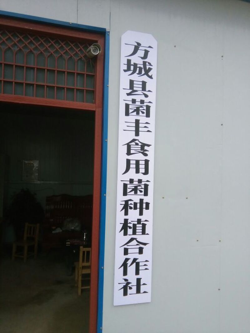 808香菇棒18*60公分