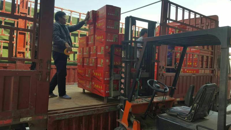 新疆若羌红枣灰枣厂家供应对接电商可一件代发保质保量