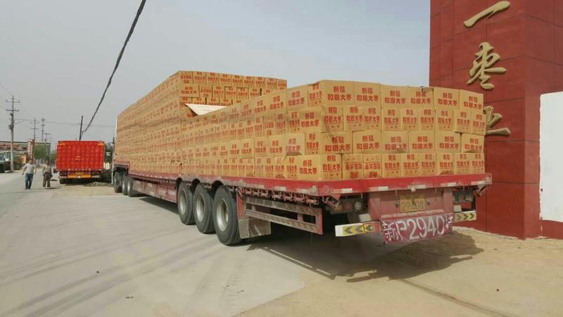 新疆若羌红枣灰枣厂家供应对接电商可一件代发保质保量