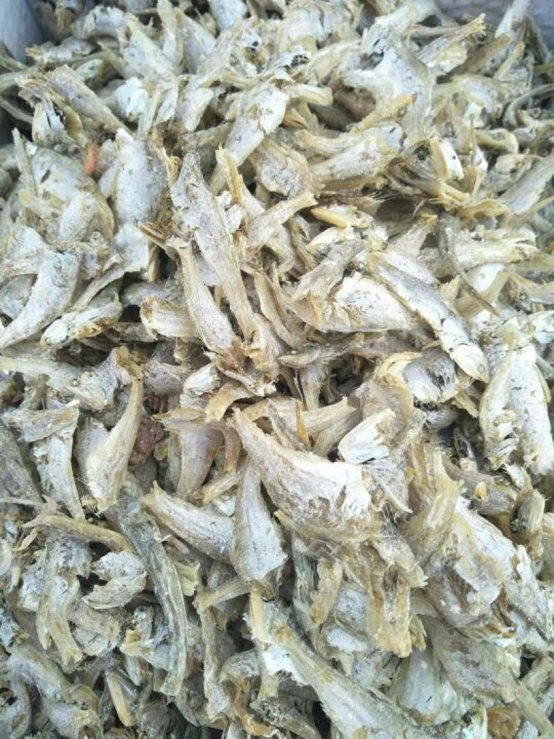 风干鱼