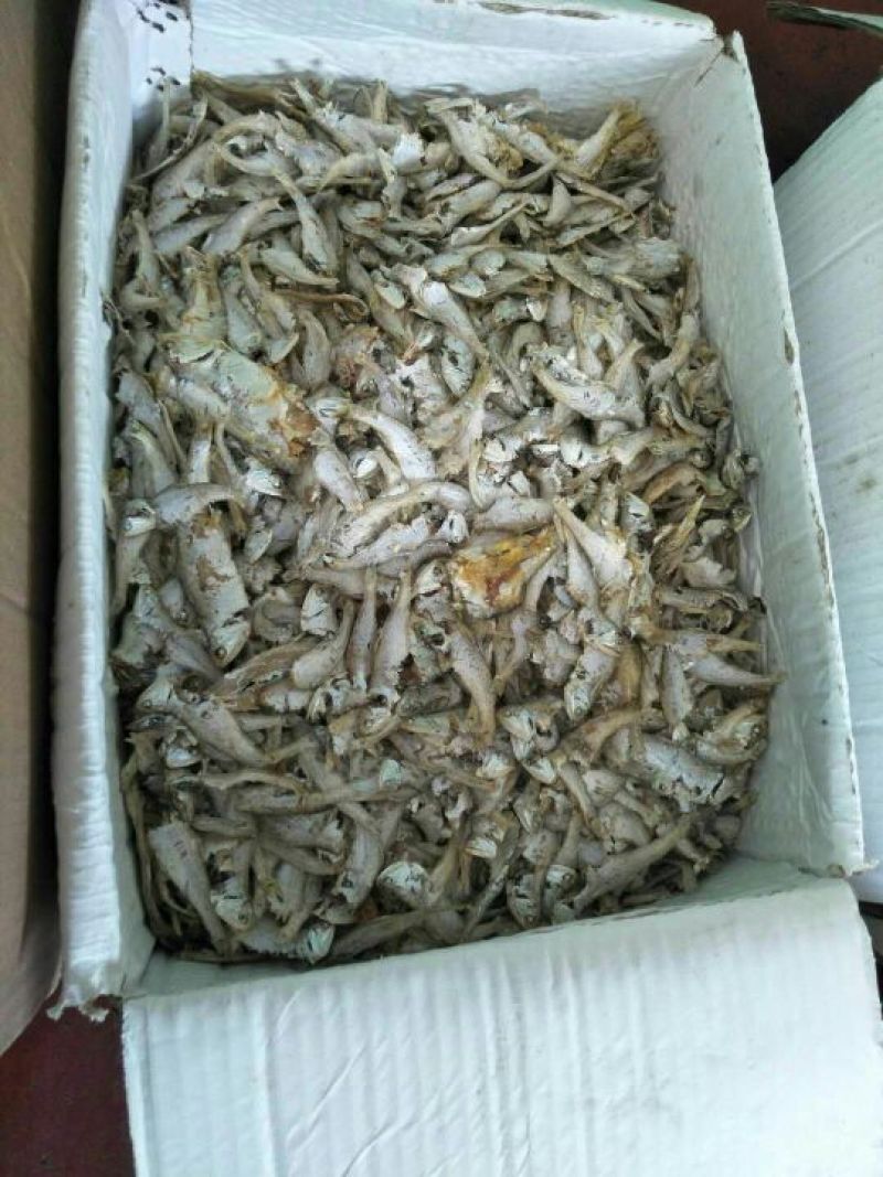 风干鱼