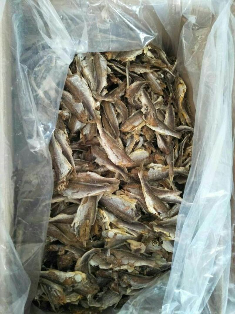 风干鱼