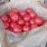 《精品》西红柿大量上市，产地直销弧三以上，粉红硬果