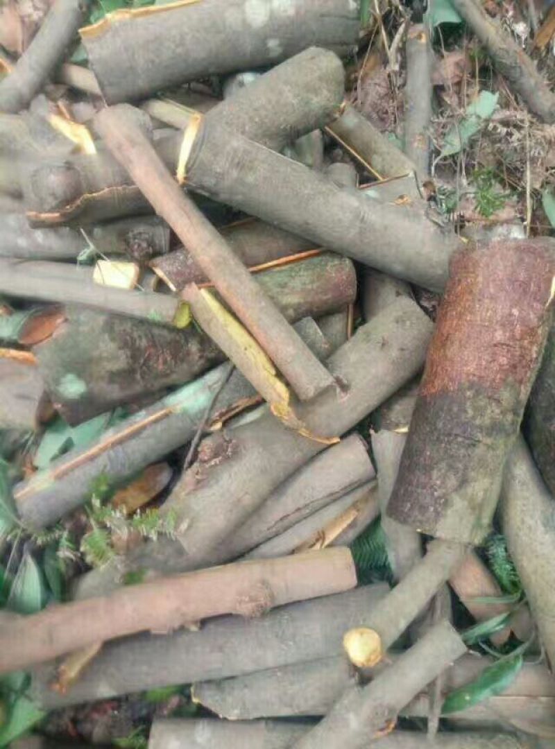 桂皮包装一级