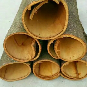 桂皮包装一级