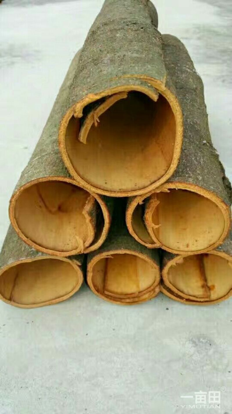 桂皮包装一级