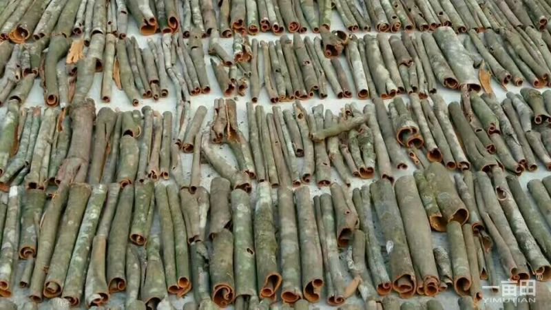 桂皮包装一级