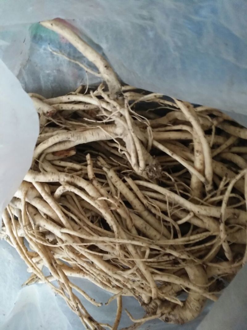 刺梨根