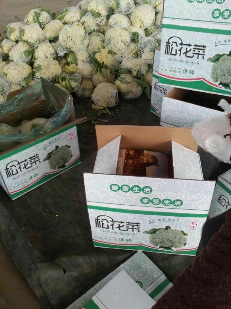 松散花大量上市1~2斤【产地直销】《质量保证》