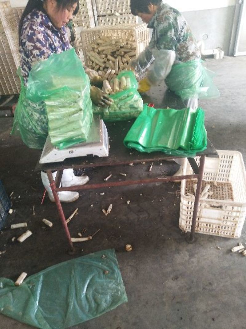 牛蒡统块