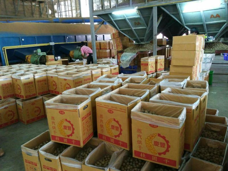 新货桂圆干500g包邮小核龙眼干福建莆田特产