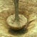 枣树苗110cm以上基地大量销售包成活