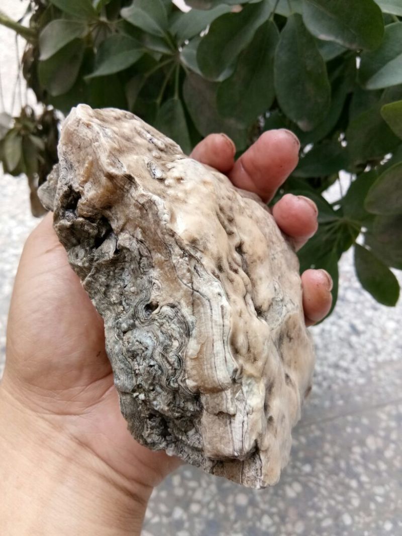 毛石