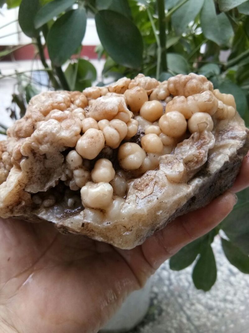 毛石